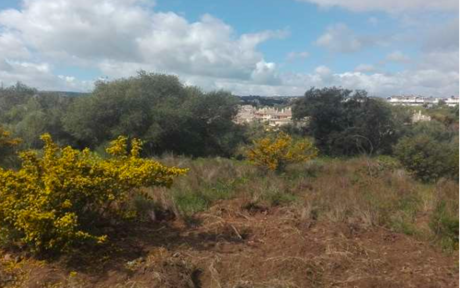 Terrain-à-bâtir en vente à Torreguadiaro (Sotogrande)